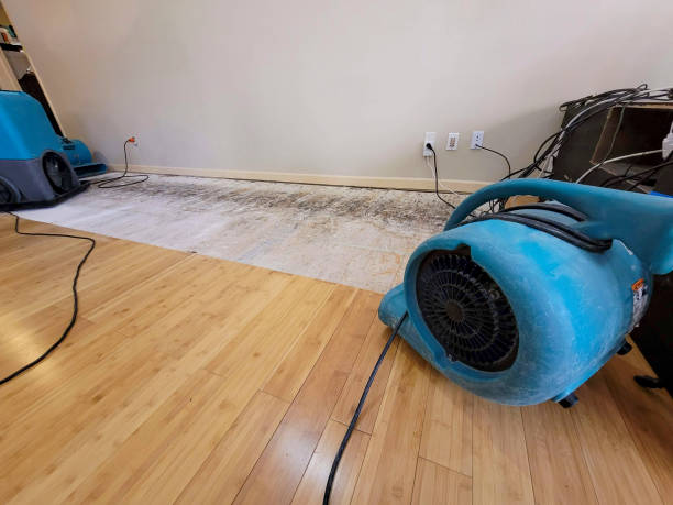 Professional Water Damage Repair technician working in Mayville, NY